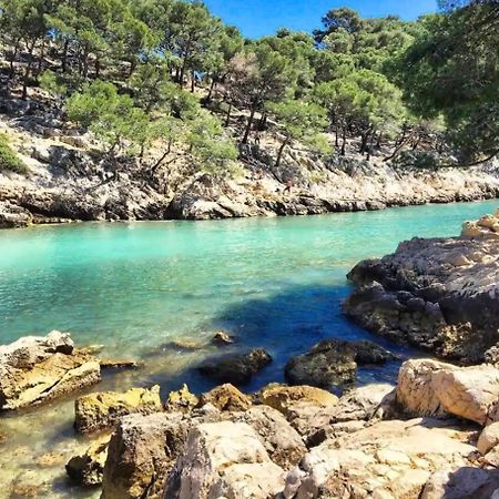 Confort & Calme Au Centre De Marsilya Dış mekan fotoğraf
