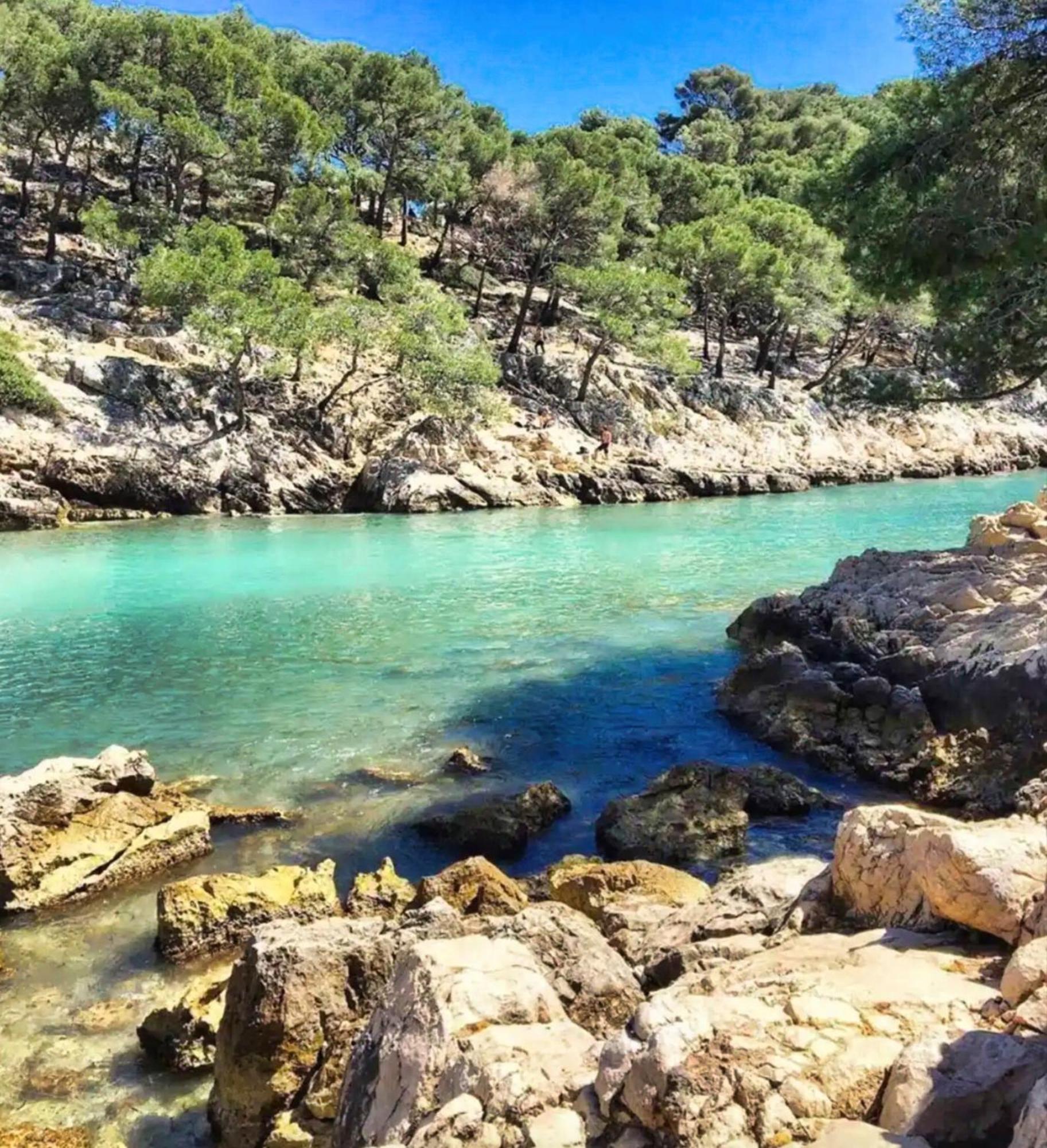 Confort & Calme Au Centre De Marsilya Dış mekan fotoğraf